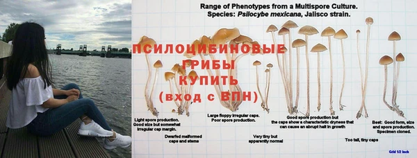 наркотики Богданович